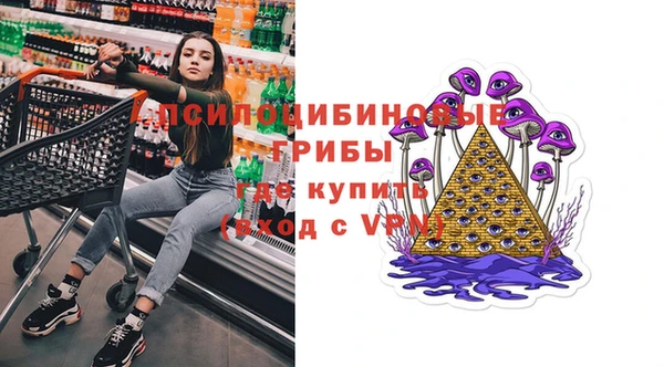 синтетический гашиш Алексин
