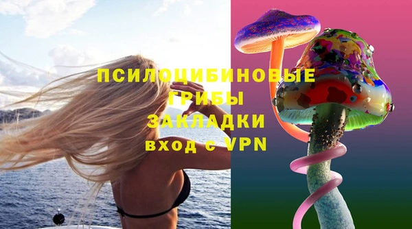 дурь Абдулино